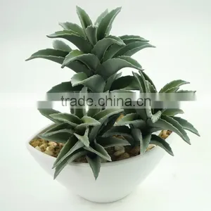 Environmental Artificial Aloe Bonsai For Decoration thumbnail-2