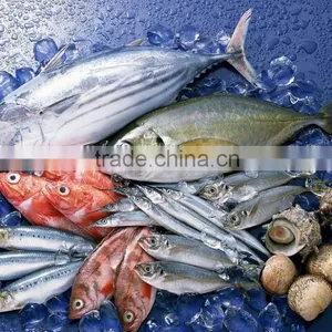 High Quality Reefer Container Carrier 40ft Reefer Container thumbnail-1