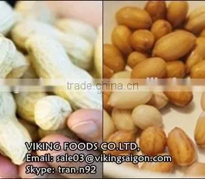 GROUNDNUTS/PEANUTS KERNEL FOR SALE thumbnail-1