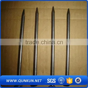 Six Inch Low Price Common Nails (direct Factory) thumbnail-5