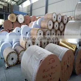 Zhangqiu Shengda Hotel Supplies Co., Ltd. company overview - view 2 thumbnail