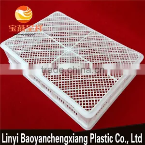 650x450x150mm Basket Plastic for Turnover Duckling Transportation thumbnail-5