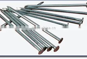 Wire Common Nails,Manufacturer, thumbnail-1