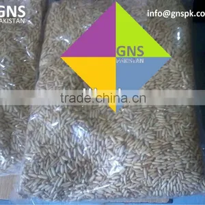 Pine Nuts Kernels : Pakistan Origin thumbnail-1