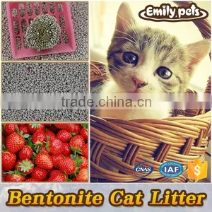 Best Absorption Bentonite Cat Litter thumbnail-5