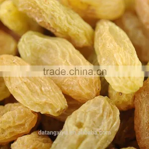Xinjiang Dried Raisins Hami King Raisin Dried Grapes Factory Supply Dried Fruits thumbnail-4