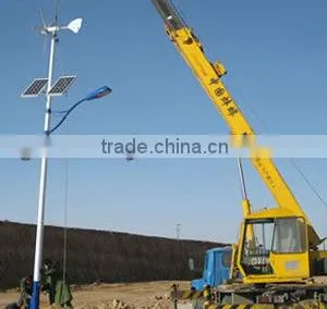 300w Wind Trubine & 100w Solar Panel Power Led Street Light Hybrid System thumbnail-1