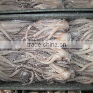 Hot Sale Squid Tentacle thumbnail-1