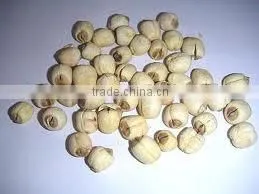Dried Lotus Seed thumbnail-1