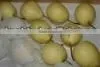 Shandong Fresh ya Pear Fruit thumbnail-1