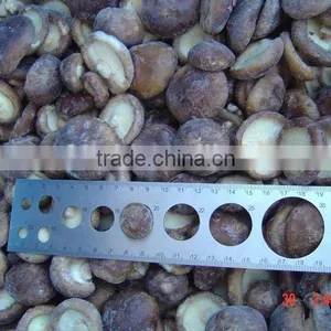 Whole IQF Shiitake Mushroom China Origin thumbnail-3