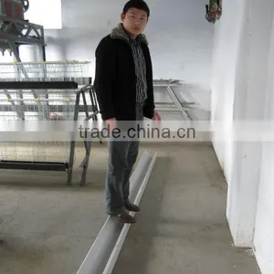 Poultry Feeder Trough Use for Layers and Broilers Cages thumbnail-1