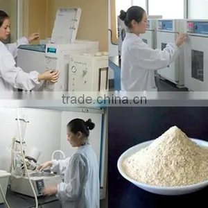 Wheat Gluten Meal for Animal Feed thumbnail-3