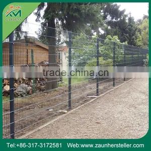 Get $1000 Coupon Powder Coated Double Wire Fence thumbnail-5