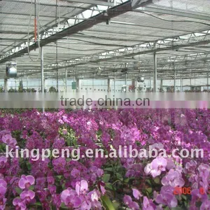 Greenhouse for Flower Cultivation thumbnail-1