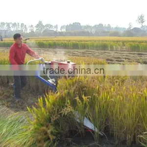 Mini Paddy Harvesting for Wheat thumbnail-1