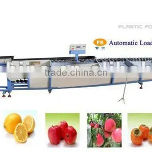 Electronic Fruit Sorting Machine thumbnail-1