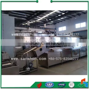 Advanced Sanshon Fuit and Vegetable LPT Model Chain Type Blancher Equipment Sterilizing Machine thumbnail-2