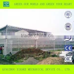 Agricultural Polycarbonate Sheet Greenhouse for Sale thumbnail-3