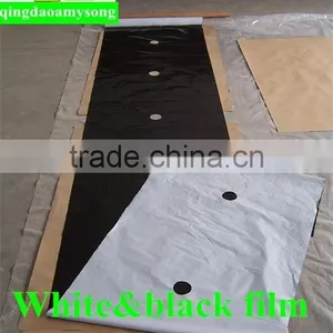 Agricultural Black Color Plastic Mulch Agriculture Black and White Film thumbnail-1