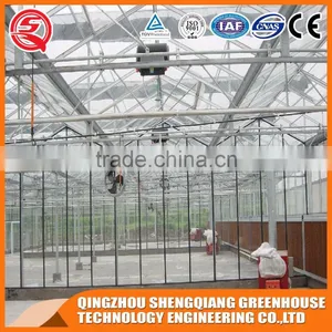Agriculture Hollow Tempered Glass Greenhouse Hot Galvanized Steel Frame thumbnail-1