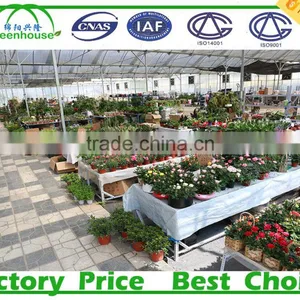 Horticultural Glass Greenhouses thumbnail-4