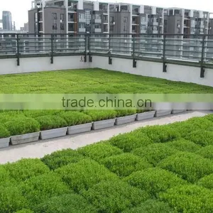 SOL 2015 Good Quality Living Green Planter pp Material Material Plant Pot Rooftop Planters thumbnail-4