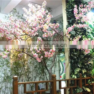 Cherry Flower Tree Man Made Sakura Plant Tree thumbnail-1