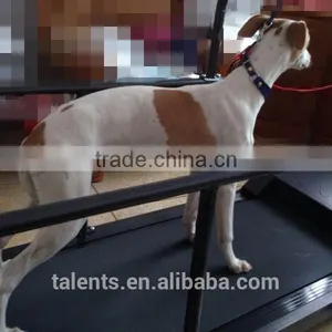 Pet Fitness Machine/dog Treadmill /dog Products thumbnail-2