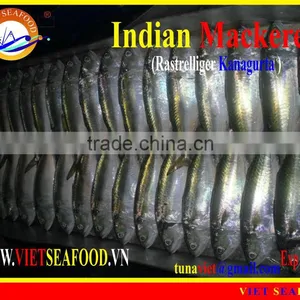 FROZEN W/R INDIAN MACKEREL thumbnail-1