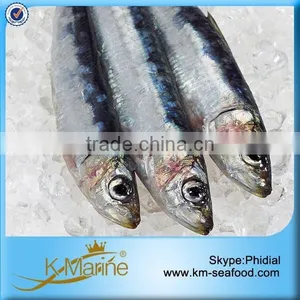 Wholesale Best Kosher Frozen Sardine Fish thumbnail-1