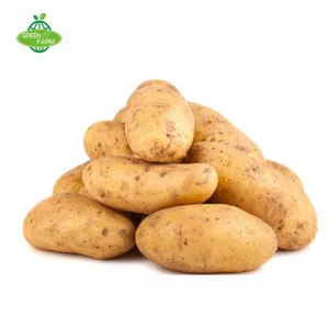Hot Sale Organic Fresh Potato thumbnail-1
