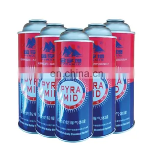 Hebei Empty Butane Gas Can 220g and Empty Aerosol Can Wholesale thumbnail-1