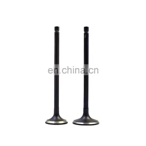 Factory Wholesale Competitive Price 4G13 4G15 Engine Valve Intake thumbnail-1