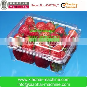BOPS Plastic Blister Vacuum Thermoforming Machine For Medicine Container ,Egg Tray thumbnail-3
