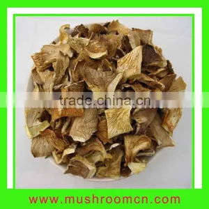 Oyster Mushroom thumbnail-1