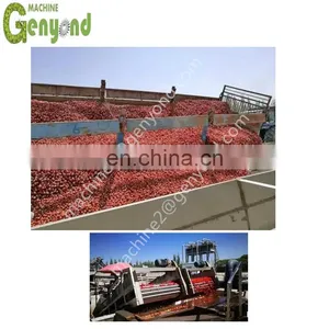 10% off Tomato Past Machine Good Quality thumbnail-5