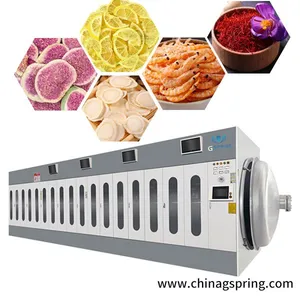 Microwave Vacuum Oven High Efficiency Low Temperature Microwave Vacuum Dryer Machine For Food Pharmaceutical Chemical Industry thumbnail-1