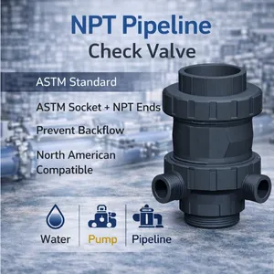 PVC Check Valve ASTM Socket NPT Ends Non Return Valve for Pipeline thumbnail-1