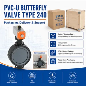 PVC-U Wafer Butterfly Valve Type 240 Pneumatic Actuator For RO System And Chemical Dosing thumbnail-4