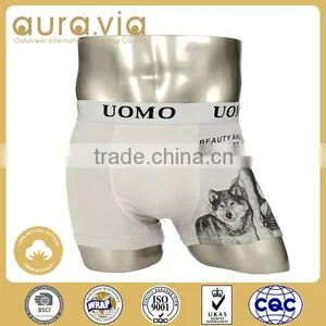 Professional Factory Supply Men's Underwear Oem With Good Quality thumbnail-3