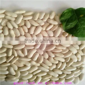 White Kidney Beans (heilongjiang) thumbnail-4