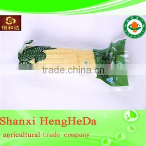 in Russian Canned Sweet Corn Wholesale thumbnail-2