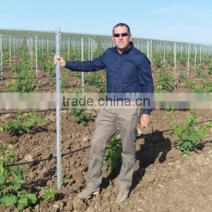 Cheap Steel Vineyard Posts thumbnail-1