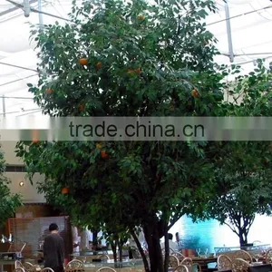 Indoor Decoration Artificial Fruit Tree Orange Tree thumbnail-4