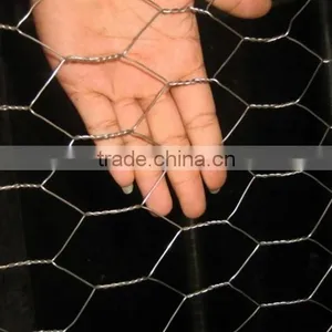 1" Galvanized Hexagonal Wire Mesh,Chicken Wire Mesh(factory) thumbnail-3