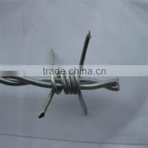 Electro/Hot Dipped Galvanized Double Line Barbed Wire thumbnail-1