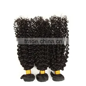 100% Unprocessed Human Virgin Brazilian Hair Kinky Curly thumbnail-1