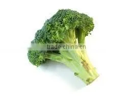 Broccoli Extract 0.3% Sulforaphane thumbnail-1