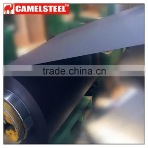 Prepaint Galvanized Steel Coil Steel Price per Ton thumbnail-6